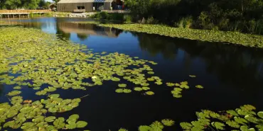 BAYRAMDA TURİSTİK NOKTALAR ZİYARETÇİ AKININA UĞRADI LONGOZ VE İL ORMANI'NA 40 BİN ZİYARETÇİ GİRİŞ YAPTI