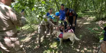 KAYBOLAN VATANDAŞ ORMANLIK ALANDA BULUNDU