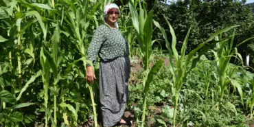 DOMUZ SÜRÜSÜNÜN DADANDIĞI MAHALLEDE VATANDAŞLAR TEDİRGİN