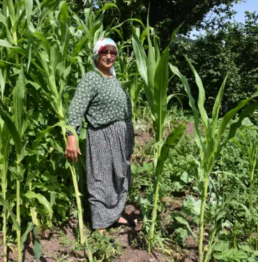 DOMUZ SÜRÜSÜNÜN DADANDIĞI MAHALLEDE VATANDAŞLAR TEDİRGİN