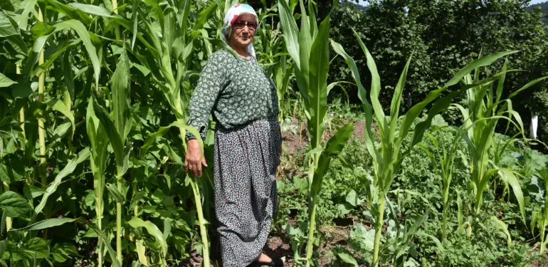 DOMUZ SÜRÜSÜNÜN DADANDIĞI MAHALLEDE VATANDAŞLAR TEDİRGİN