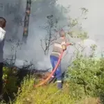 SAKARYA'DA ORMAN YANGININA HAVADAN VE KARADAN MÜDAHALE SÜRÜYOR