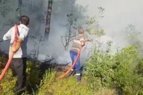 SAKARYA'DA ORMAN YANGININA HAVADAN VE KARADAN MÜDAHALE SÜRÜYOR