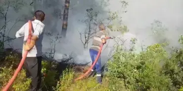 SAKARYA'DA ORMAN YANGININA HAVADAN VE KARADAN MÜDAHALE SÜRÜYOR