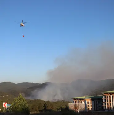 SAKARYA'DAKİ ORMAN YANGINI 3 BUÇUK SAAT SONRA KONTROL ALTINA ALINDI HAVADAN VE KARADAN MÜDAHALE EDİLEN YANGINDA YAKLAŞIK 15 HEKTAR ALAN KÜL OLDU YANGINI SÖNDÜRMEK İÇİN BÖLGEYE GELEN BAYAR ÇAKIROĞLU: "TELEVİZYONLARDA SEYREDİYORDUK, HER GÜN KORKU İÇİNDEYDİK KORKTUĞUMUZ BAŞIMIZA GELDİ"