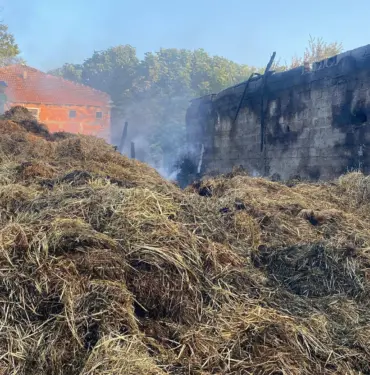 SAMANLIKTA ÇIKAN YANGINDA BİN BALYA KÜL OLDU
