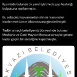 AKYAZI'DA ŞAP HASTALIĞI ALARMI