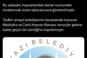 AKYAZI'DA ŞAP HASTALIĞI ALARMI