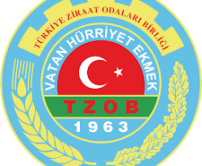 TZOB LOGO
