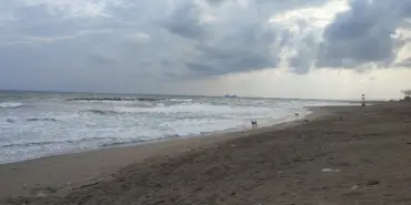 SAKARYA'DA DENİZE GİRMEK YASAKLANDI