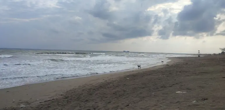 SAKARYA'DA DENİZE GİRMEK YASAKLANDI