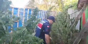 5 İLÇEDE UYUŞTURUCU OPERASYONU: 5 GÖZALTI