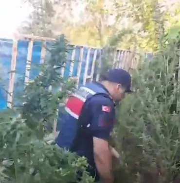 5 İLÇEDE UYUŞTURUCU OPERASYONU: 5 GÖZALTI