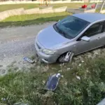Sokak köpekleri park halindeki araca zarar verdi
