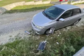 Sokak köpekleri park halindeki araca zarar verdi