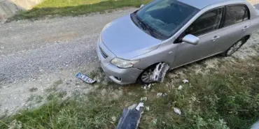 Sokak köpekleri park halindeki araca zarar verdi