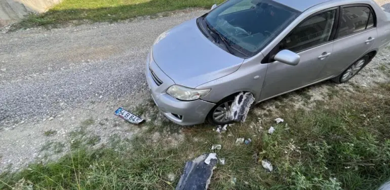 Sokak köpekleri park halindeki araca zarar verdi