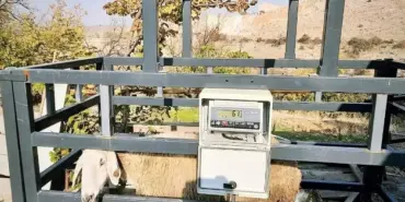 Adağınız için zamanınızı harcamayın (6)