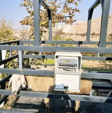 Adağınız için zamanınızı harcamayın (6)