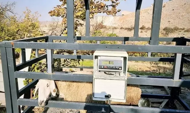 Adağınız için zamanınızı harcamayın (6)