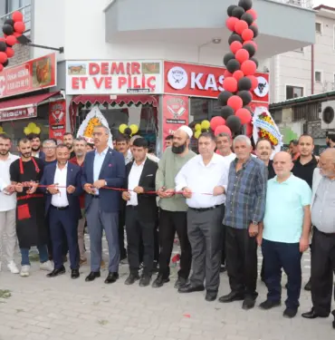 DEMİR (1)