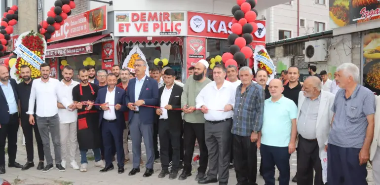 DEMİR (1)
