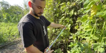 Endonezya'dan getirdi, taleplere yetişemiyor