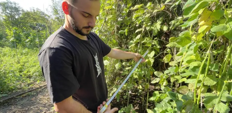 Endonezya'dan getirdi, taleplere yetişemiyor