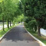 SERDİVAN’A 28 MİLYAR TL’LİK DEV YATIRIM 36 1