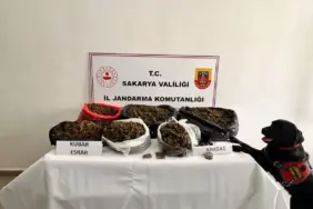SAKARYA'DA 21 KİLO ESRAR ELE GEÇİRİLDİ: 1 TUTUKLAMA