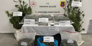 SAKARYA JANDARMANIN UYUŞTURUCU İLE MÜCADELE RAPORU: 380 TUTUKLAMA