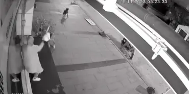 DÜKKANI AÇAN KADIN DEHŞETİ YAŞADI: KÖPEKLER İŞTE BÖYLE SALDIRDI SALDIRIYA UĞRAYAN KADIN: "BİR YAKINIMI KÖPEK ISIRIĞI SEBEBİ İLE KAYBETTİM BU KONUDA ÇOK HASSASIM"