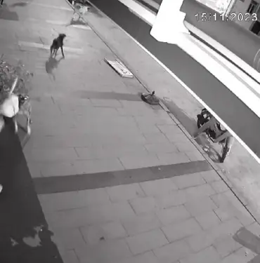 DÜKKANI AÇAN KADIN DEHŞETİ YAŞADI: KÖPEKLER İŞTE BÖYLE SALDIRDI SALDIRIYA UĞRAYAN KADIN: "BİR YAKINIMI KÖPEK ISIRIĞI SEBEBİ İLE KAYBETTİM BU KONUDA ÇOK HASSASIM"