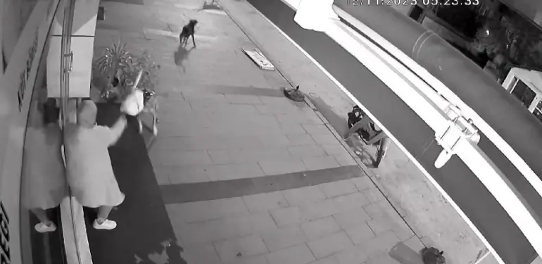 DÜKKANI AÇAN KADIN DEHŞETİ YAŞADI: KÖPEKLER İŞTE BÖYLE SALDIRDI SALDIRIYA UĞRAYAN KADIN: "BİR YAKINIMI KÖPEK ISIRIĞI SEBEBİ İLE KAYBETTİM BU KONUDA ÇOK HASSASIM"