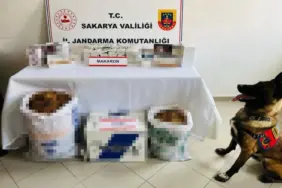 JANDARMADAN KAÇAKÇILIK OPERASYONU: 2 GÖZALTI