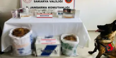 JANDARMADAN KAÇAKÇILIK OPERASYONU: 2 GÖZALTI