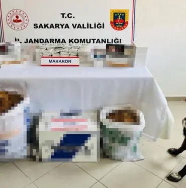 JANDARMADAN KAÇAKÇILIK OPERASYONU: 2 GÖZALTI