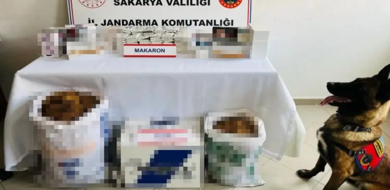 JANDARMADAN KAÇAKÇILIK OPERASYONU: 2 GÖZALTI