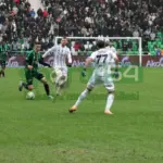 Sakaryaspor-Beşiktaş Maçından Kareler 16 IMG-20231119-WA0016