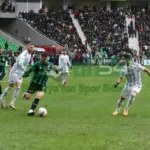 Sakaryaspor-Beşiktaş Maçından Kareler 33 IMG-20231119-WA0033