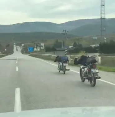 ÖLÜMLE BÖYLE DANS ETTİLER: MOTOSİKLETİN ÜZERİNDE TEHLİKELİ YOLCULUK