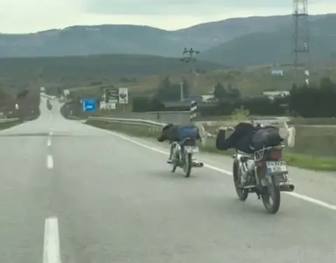 ÖLÜMLE BÖYLE DANS ETTİLER: MOTOSİKLETİN ÜZERİNDE TEHLİKELİ YOLCULUK