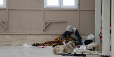 KÖPEKLERİYLE ŞADIRVANI MESKEN TUTTU, CAMİ CEMAATİ ABDEST ALAMAZ OLDU BAZI GÜNLER BÖLGEYE GELEN ŞAHIS CEMAATE KORKU SALIYOR ŞADIRVANA GİREN ENDİŞELİ GÖZLERLE ONA BAKIYOR