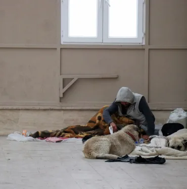 KÖPEKLERİYLE ŞADIRVANI MESKEN TUTTU, CAMİ CEMAATİ ABDEST ALAMAZ OLDU BAZI GÜNLER BÖLGEYE GELEN ŞAHIS CEMAATE KORKU SALIYOR ŞADIRVANA GİREN ENDİŞELİ GÖZLERLE ONA BAKIYOR