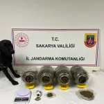 SAKARYA'DA JANDARMA SUÇA GEÇİT VERMİYOR: 6 TUTUKLAMA