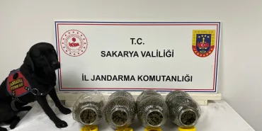 SAKARYA'DA JANDARMA SUÇA GEÇİT VERMİYOR: 6 TUTUKLAMA