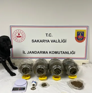 SAKARYA'DA JANDARMA SUÇA GEÇİT VERMİYOR: 6 TUTUKLAMA