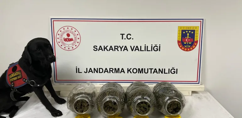 SAKARYA'DA JANDARMA SUÇA GEÇİT VERMİYOR: 6 TUTUKLAMA
