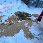 YİYECEK BULAMAYAN YABAN HAYVANLARINA VATANDAŞTAN YARDIM ELİ