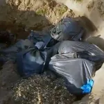 HAYVAN REHABİLİTASYON MERKEZİ'NDE GÖRDÜĞÜ MANZARA KARŞISINDA ŞOK OLDU ÇÖP POŞETİNE KONULAN ÖLÜ KÖPEKLER, ÇUKURA ATILDI